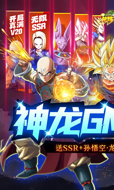 龙珠世界神龙GM无限刷充截图